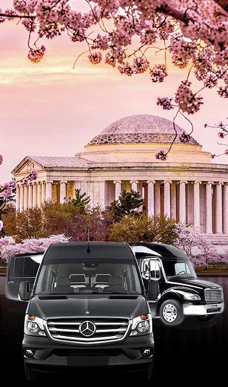 dc city tours