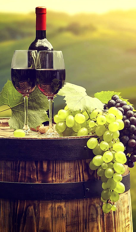 va private wine tours